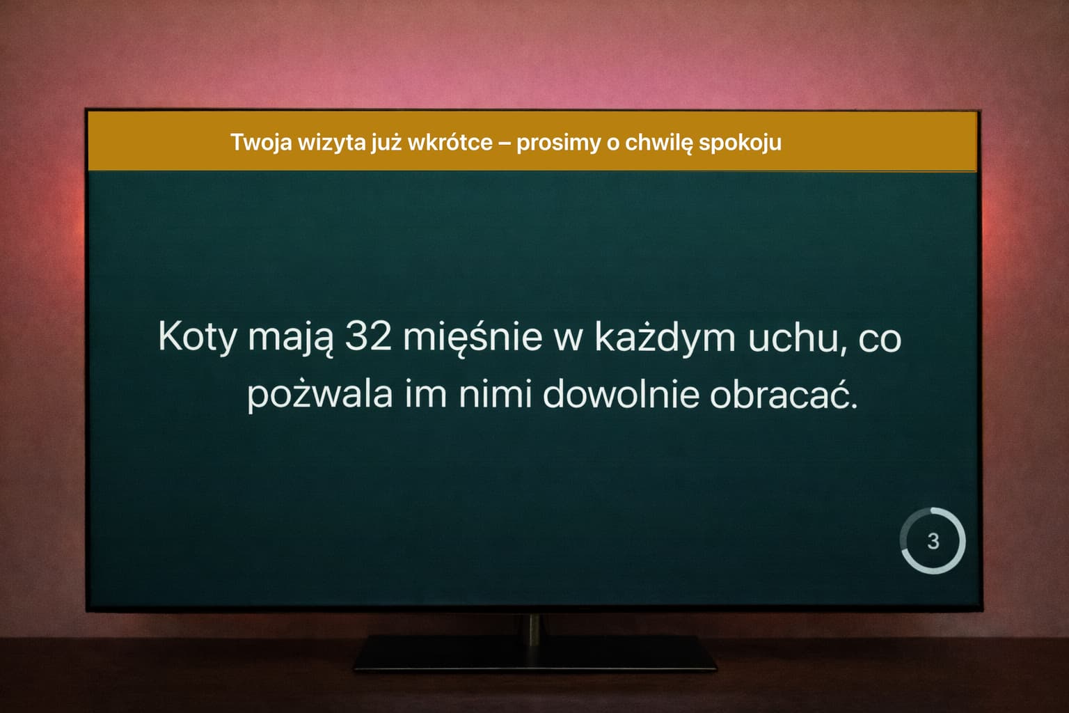 Spokojna Poczekalnia na żywo